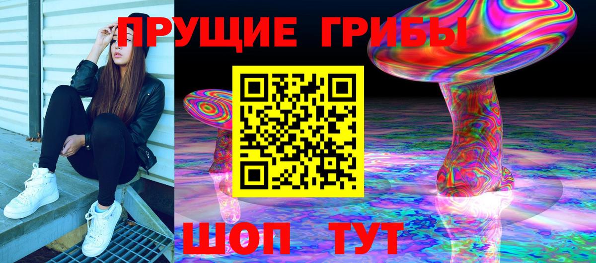 Галлюциногенные грибы Psilocybine cubensis  наркота  Псилоцибиновые грибы GOLDEN TEACHER  Долгопрудный  Вход с VPN 
