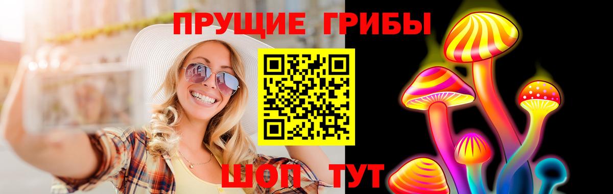 Псилоцибиновые грибы Psilocybe Долгопрудный